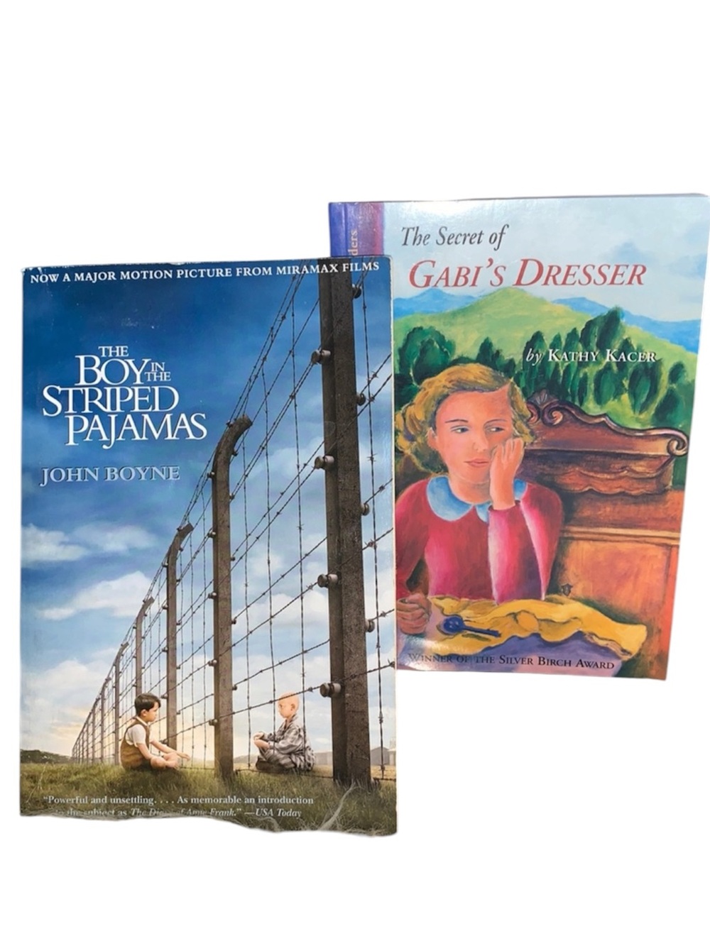 holocaust novels boy in the striped pajamas